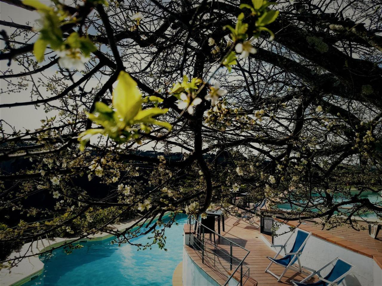 Borgo La Casaccia Διαμέρισμα Montaione Εξωτερικό φωτογραφία