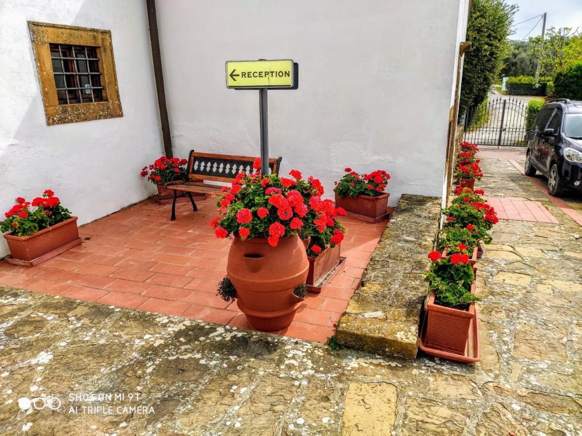 Borgo La Casaccia Διαμέρισμα Montaione Εξωτερικό φωτογραφία